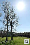Click to see YiYSAM_3298.JPG