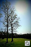 Click to see YiYSAM_3300.JPG