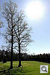 Click to see YiYSAM_3301.JPG