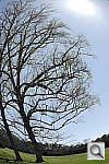 Click to see YiYSAM_3302.JPG