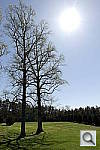 Click to see YiYSAM_3304.JPG