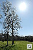 NX200 Landscape