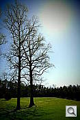 NX200 Vignetting
