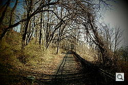 NX200 Vignette Filter