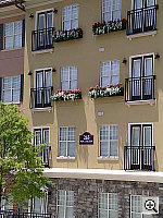 Click to see YIMGP0156.JPG