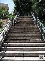 Click to see YIMGP0169.JPG