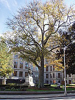 Click to see YP1010503.JPG