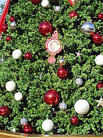 Click to see YP1010517.JPG