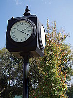 Click to see YPA300351.JPG