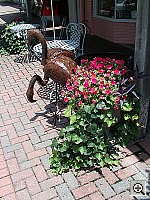 Click to see YIMGP0428.JPG