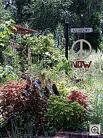 Click to see YIMGP0437.JPG