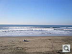 Click to see YPC050547.JPG