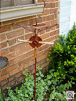 Click to see YP4290004.JPG