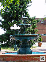 Click to see YP4290007.JPG