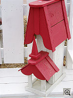 Click to see YP4290013.JPG