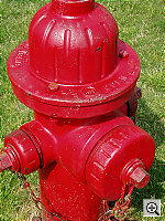 Click to see YP4290016.JPG