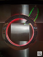 Click to see YP2110462.JPG