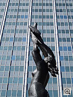 Click to see YP2110478.JPG