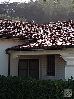 Click to see YPC020025.JPG