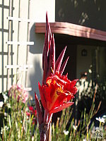 Click to see YPC020032.JPG