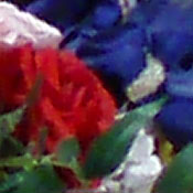 Olympus Stylus 600 digital camera image