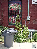 Click to see YP6290058.JPG
