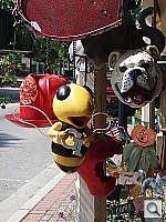 Click to see YP6290074.JPG