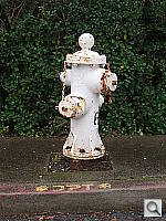 Click to see YPB160140.JPG