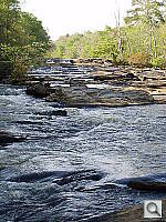 Click to see YP4090792.JPG