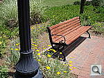 Click to see YP5250073.JPG