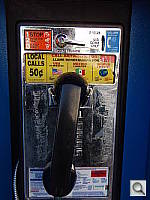 Click to see YP2140395.JPG