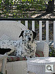 Click to see YZP1010041.JPG