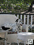 Click to see YZP1010042.JPG