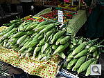 Click to see YIMGP0008.JPG