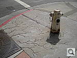 Click to see YIMGP0016.JPG