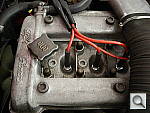 Click to see YIMGP0041.JPG