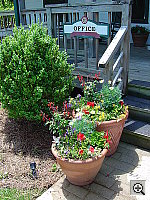 Click to see YDSC00617.JPG