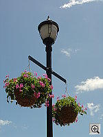 Click to see YDSC00631.JPG