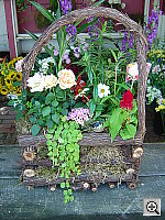 Click to see YDSC00633.JPG