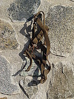 Click to see YDSC00542.JPG