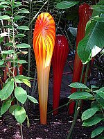 Click to see YDSC00048.JPG