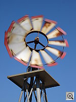 Click to see YDSC00524.JPG