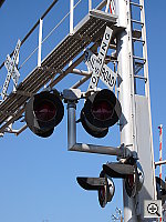 Click to see YDSC00530.JPG