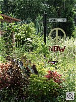 Click to see YCIMG0648.JPG