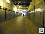 Click to see YDSCN0183.JPG