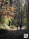 Click to see YDSCN0201.JPG