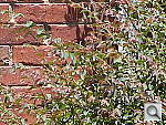 Click to see P712FARWTDT.JPG