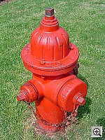 Click to see YDSC00284.JPG