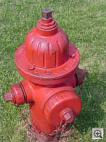 Click to see YDSC00362.JPG