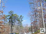 Click to see PENTAXQPINEv101.JPG